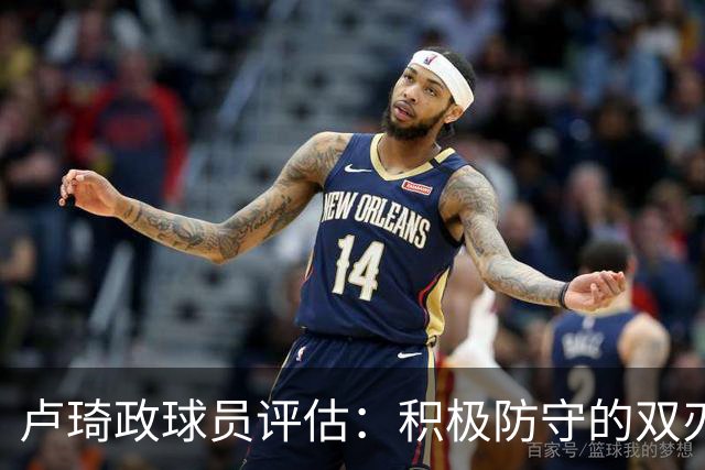 卢琦政球员评估：积极防守的双刃剑